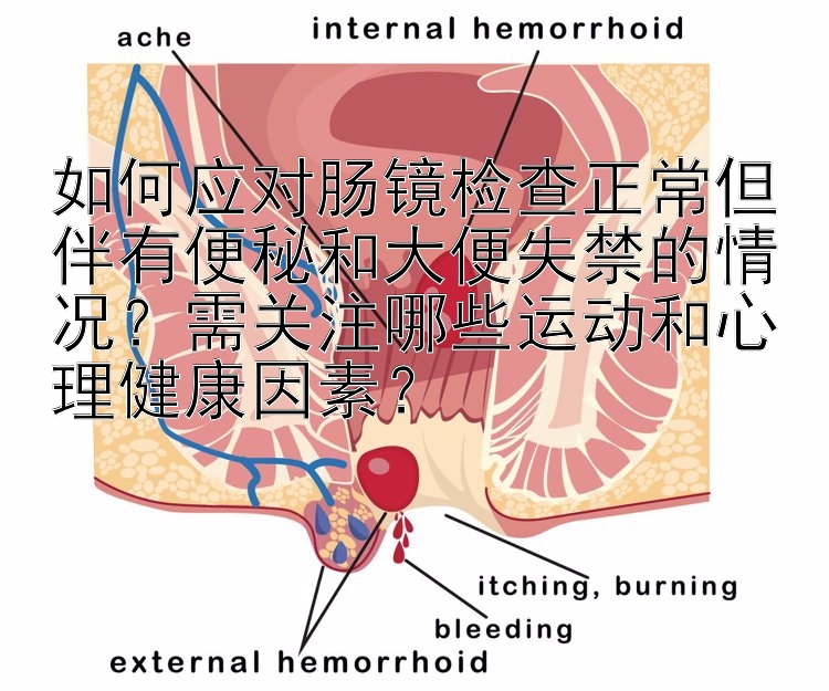 如何应对肠镜检查正常但伴有便秘和大便失禁的情况？需关注哪些运动和心理健康因素？